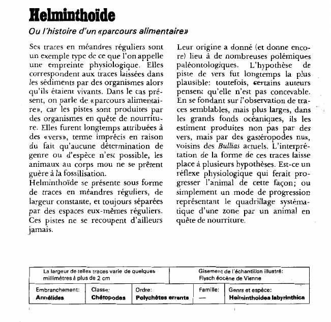 Prévisualisation du document Helminthoide:Ou l'histoire d'un «parcours alimentaire».