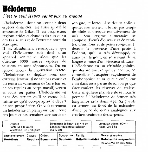Prévisualisation du document Héloderme:C'est le seul lézard venimeux au monde.