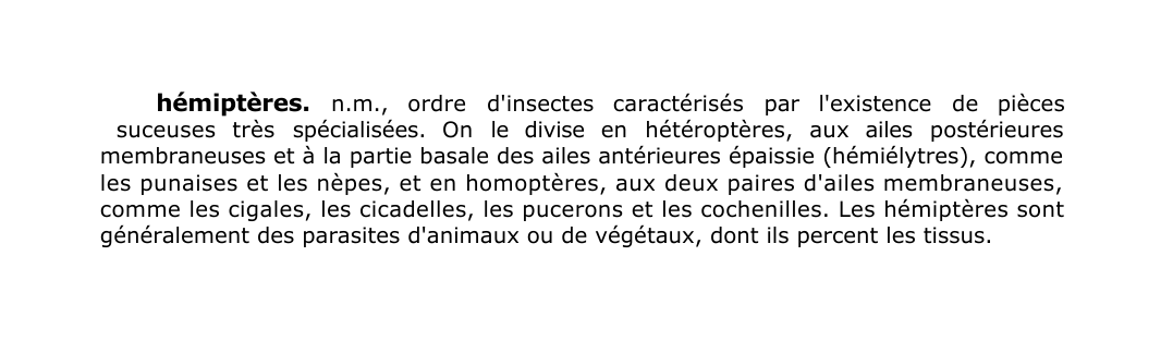 Prévisualisation du document hémiptères.