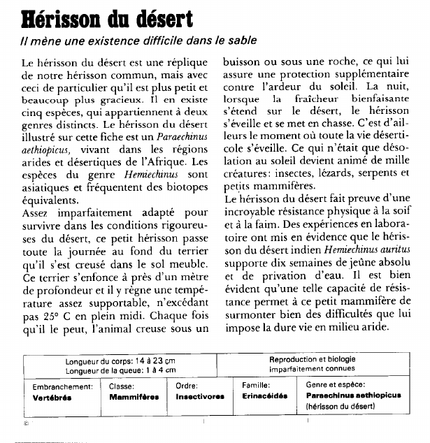 Prévisualisation du document Hérisson du désert:Il mène une existence difficile dans le sable.