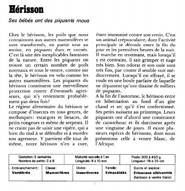 Prévisualisation du document Hérisson:Ses bébés ont des piquants mous.