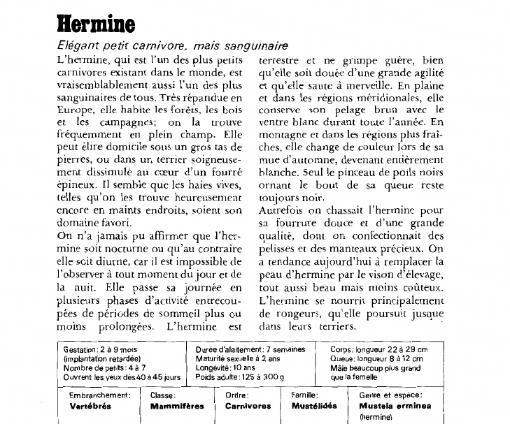 Prévisualisation du document Hermine:Elégant petit carnivore, mais sanguinaire.