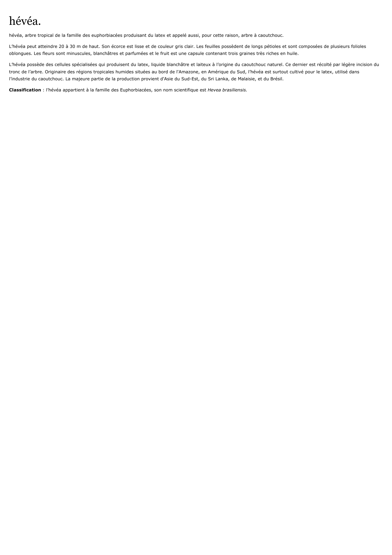 Prévisualisation du document hévéa.