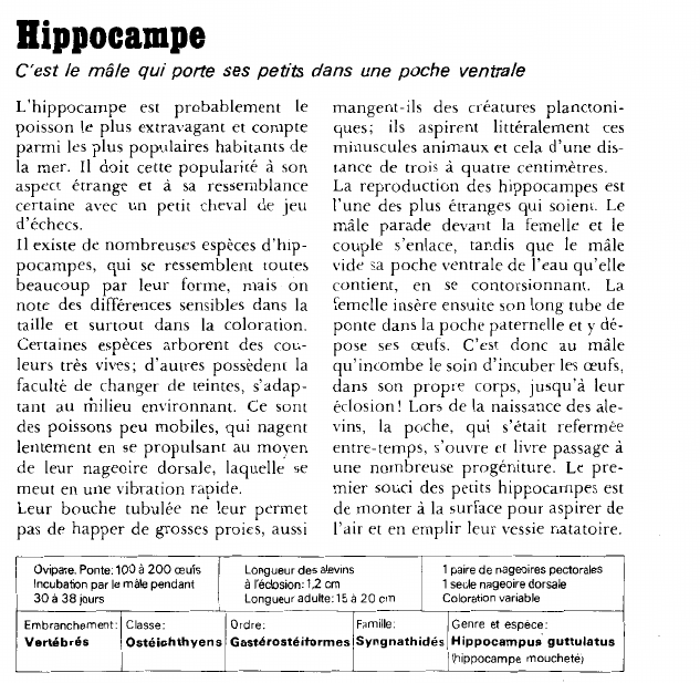 Prévisualisation du document Hippocampe.