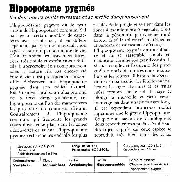 Prévisualisation du document Hippopotame pygmée:Il a des moeurs plutôt terrestres et se raréfie dangereusement.