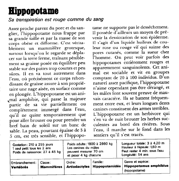 Prévisualisation du document Hippopotame:Sa transpiration est rouge comme du sang.