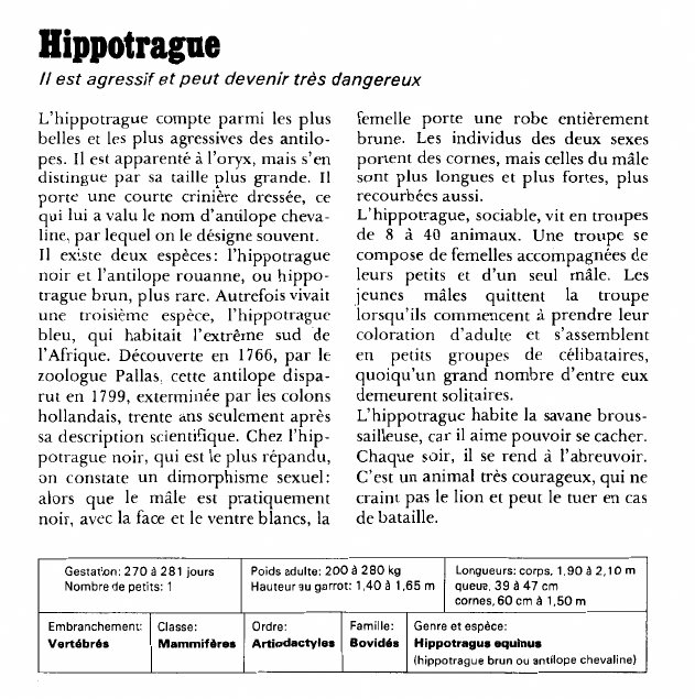 Prévisualisation du document Hippotrague:Il est agressif et peut devenir très dangereux.