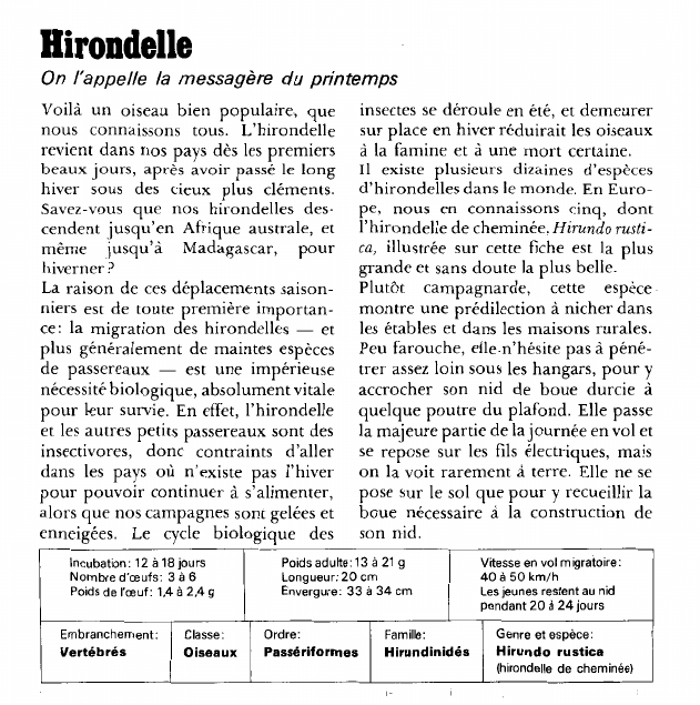 Prévisualisation du document Hirondelle:On l'appelle la messagère du printemps.