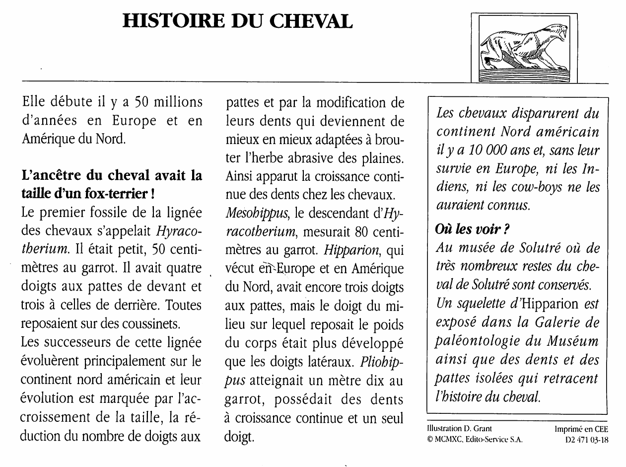 Prévisualisation du document HISTOIRE du CHEVAL