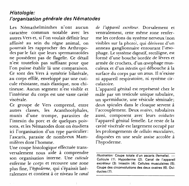 Prévisualisation du document Histologie:l'organisation générale des Nématodes.