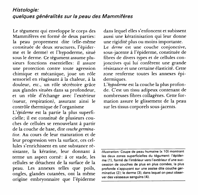 Prévisualisation du document Histologie:quelques généralités sur la peau des Mammifères.