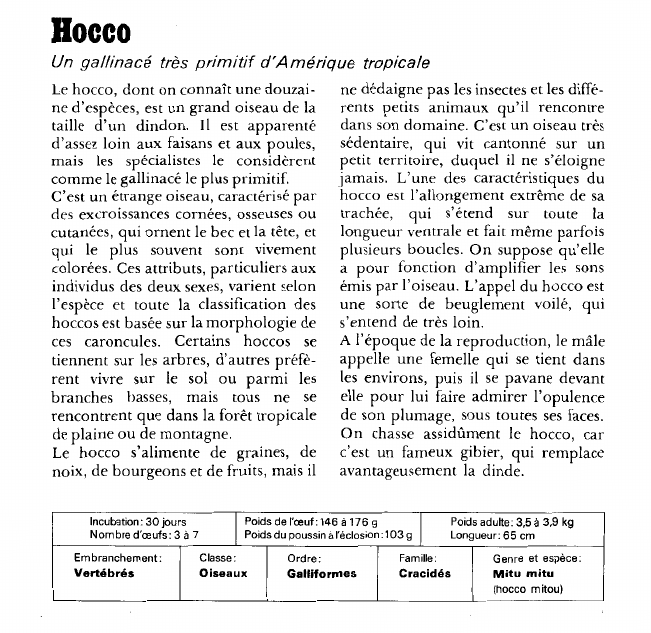 Prévisualisation du document Hocco:Un gallinacé très primitif d'A mérique tropicale.