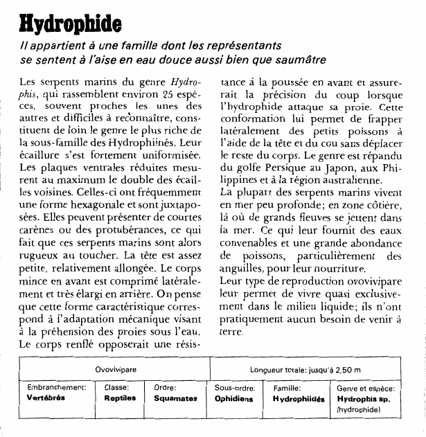 Prévisualisation du document Hydrophide:Il appartient à une famille dont les représentants se sentent à l'aise en eau douce aussi bien que saumâtre.