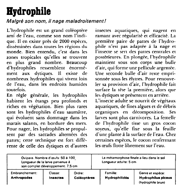 Prévisualisation du document Hydrophile:Malgré son nom, il nage maladroitement!