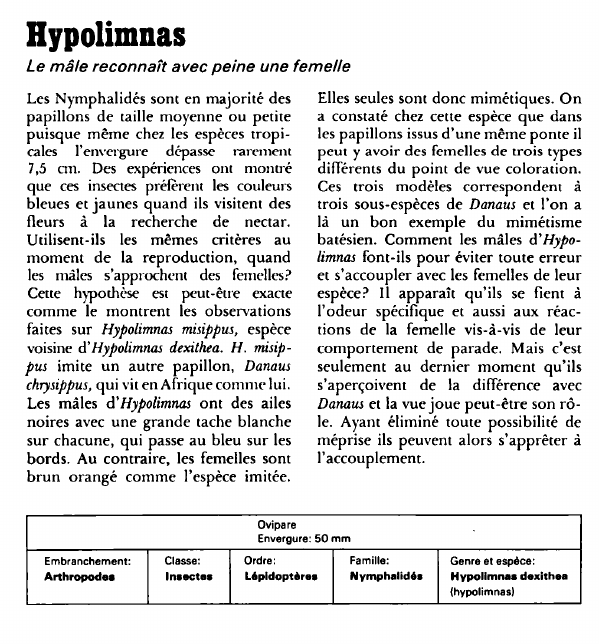 Prévisualisation du document Hypolimnas:Le mâle reconnaît avec peine une femelle.