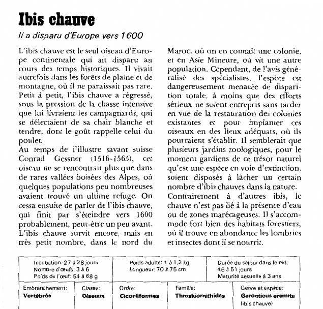 Prévisualisation du document Ibis chauve:Il a disparu d'Europe vers 1600 (animaux).