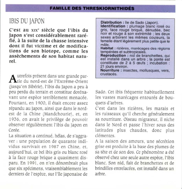 Prévisualisation du document IBIS DU JAPON