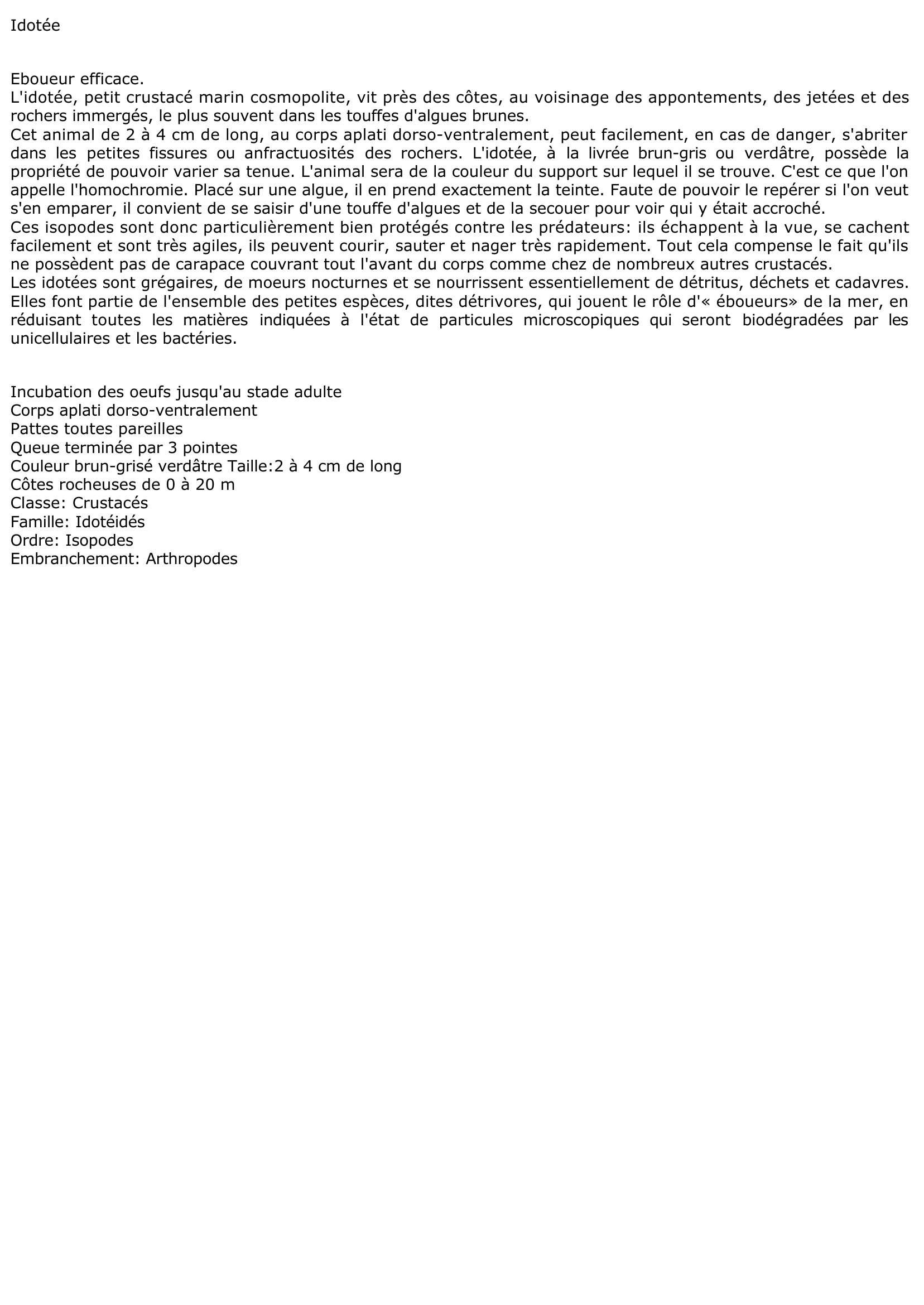 Prévisualisation du document Idotée