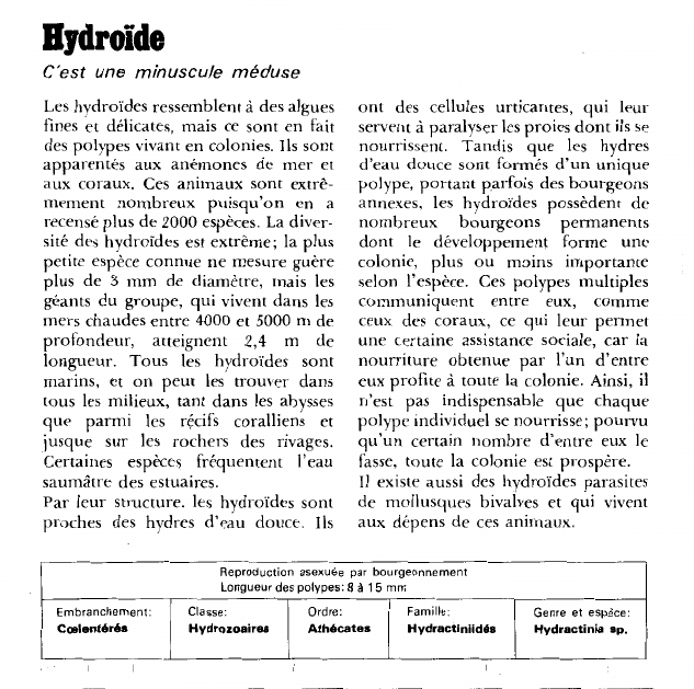 Prévisualisation du document Ilydroide:C'est une minuscule méduse.