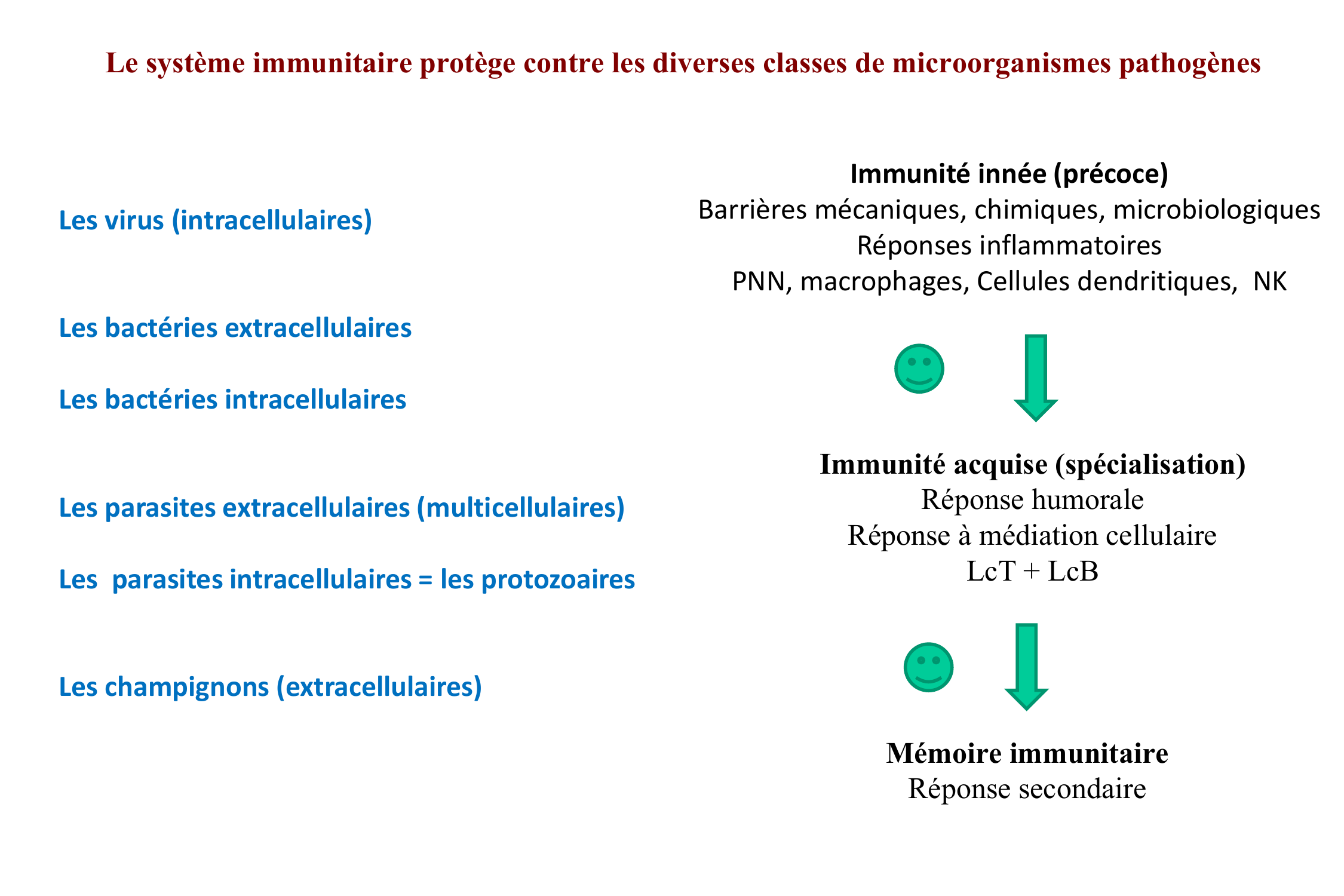 Prévisualisation du document Immunité
anti-infectieuse

Emmanuel Hermann
L2 Février 2012

Le système immunitaire protège contre les diverses