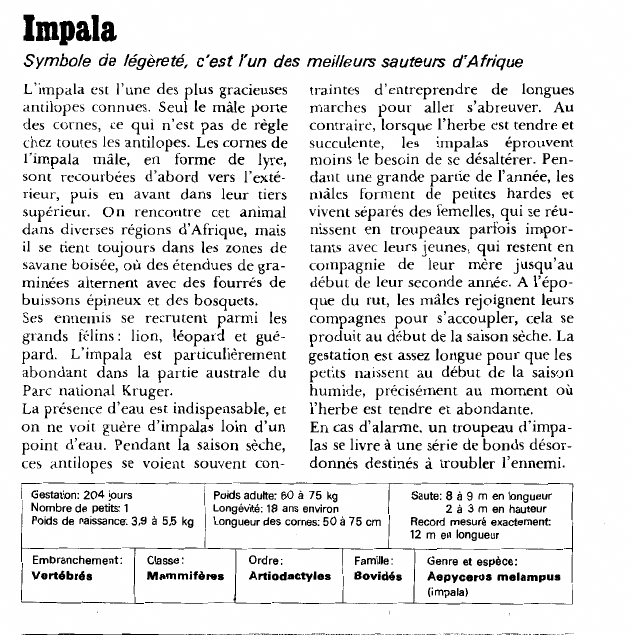 Prévisualisation du document Impala:Symbole de légèreté, c'est l'un des meilleurs sauteurs d'Afrique.