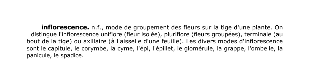 Prévisualisation du document inflorescence.