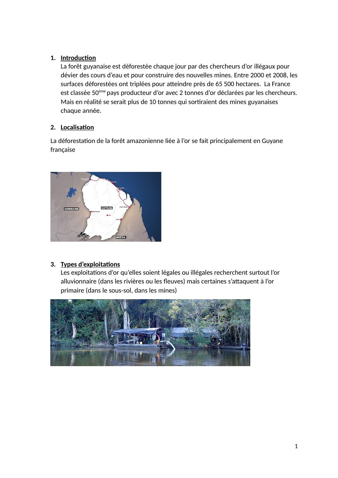 Prévisualisation du document La forêt guyanaise