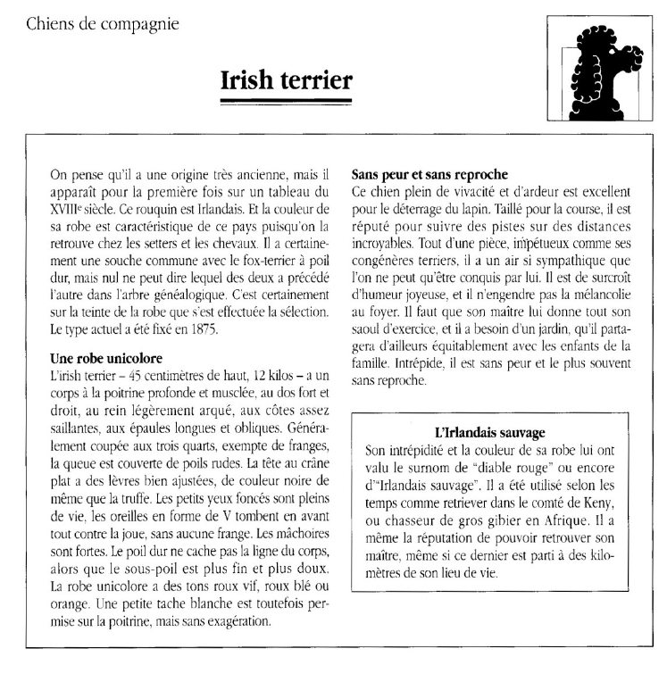 Prévisualisation du document Irish terrier.