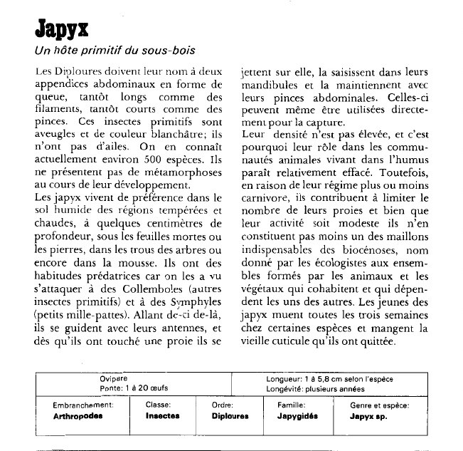 Prévisualisation du document Japyx:Un hôte primitif du sous-bois.