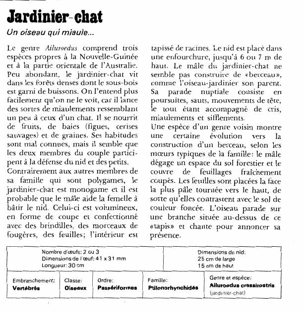 Prévisualisation du document Jardinier- chat:Un oiseau qui miaule.