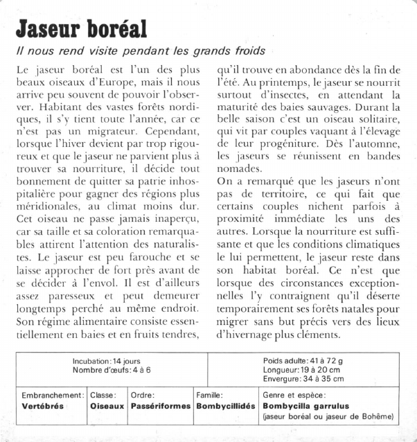 Prévisualisation du document Jaseur boréal:Il nous rend visite pendant les grands froids.