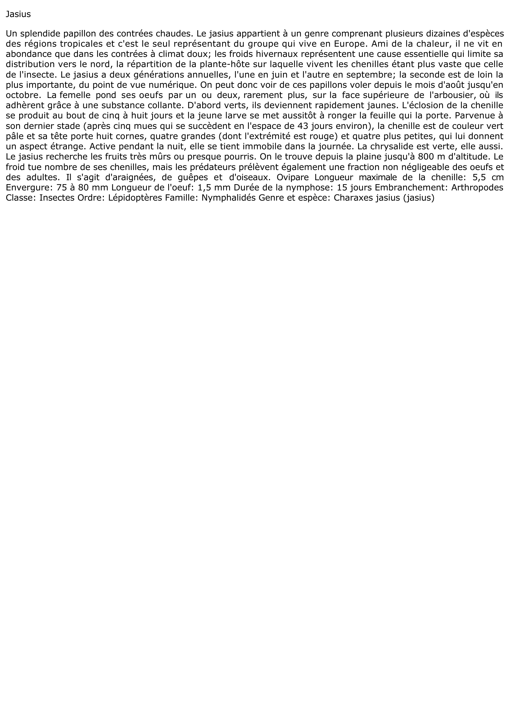 Prévisualisation du document Jasius