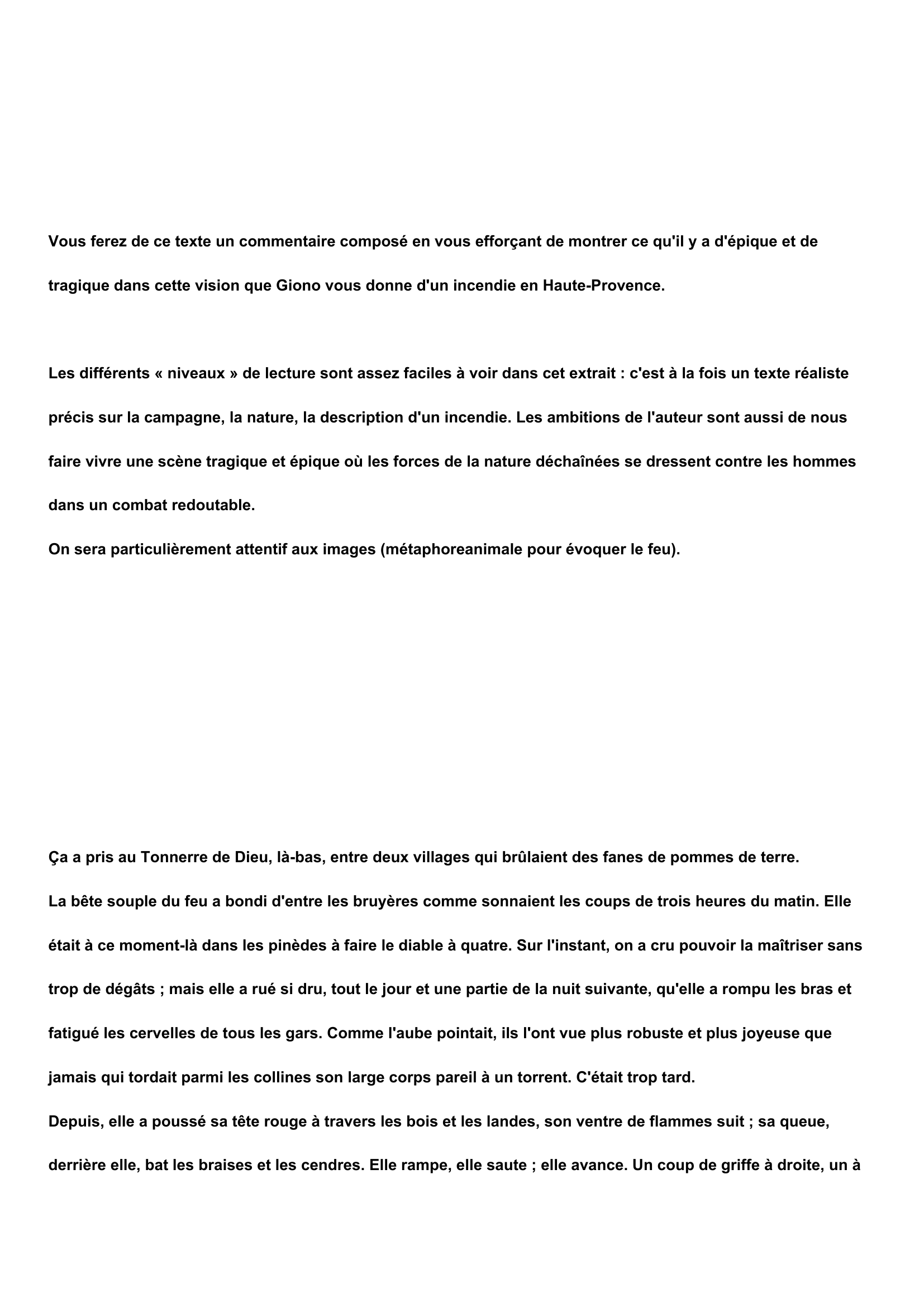Prévisualisation du document Jean Giono - La Colline: Incendie en Haute-Provence