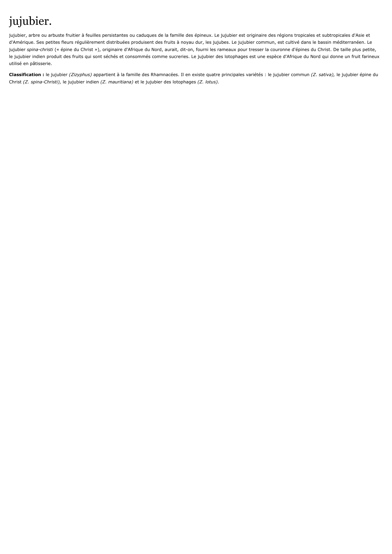 Prévisualisation du document jujubier.