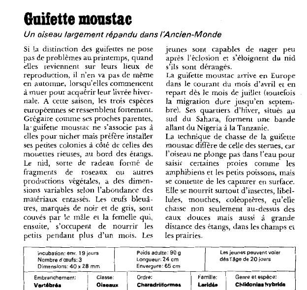 Prévisualisation du document (Juliette moustac:Un oiseau largement répandu dans l'Ancien-Monde.