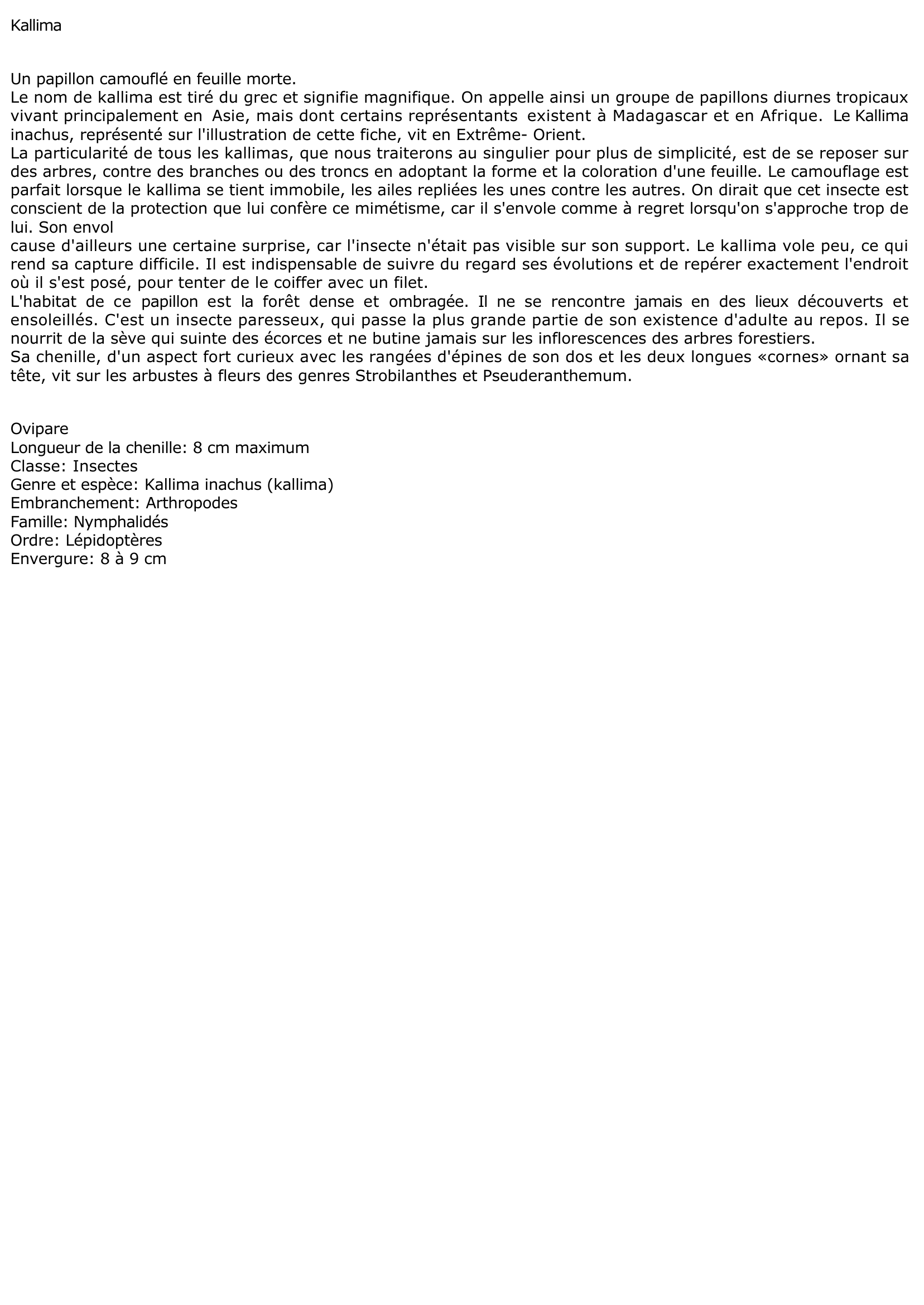 Prévisualisation du document Kallima