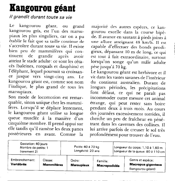 Prévisualisation du document Kangourou géant:II grandit durant toute sa vie.