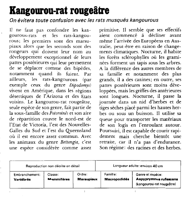 Prévisualisation du document Kangourou-rat rougeâtre:On évitera toute confusion avec les rats musqués kangourous.