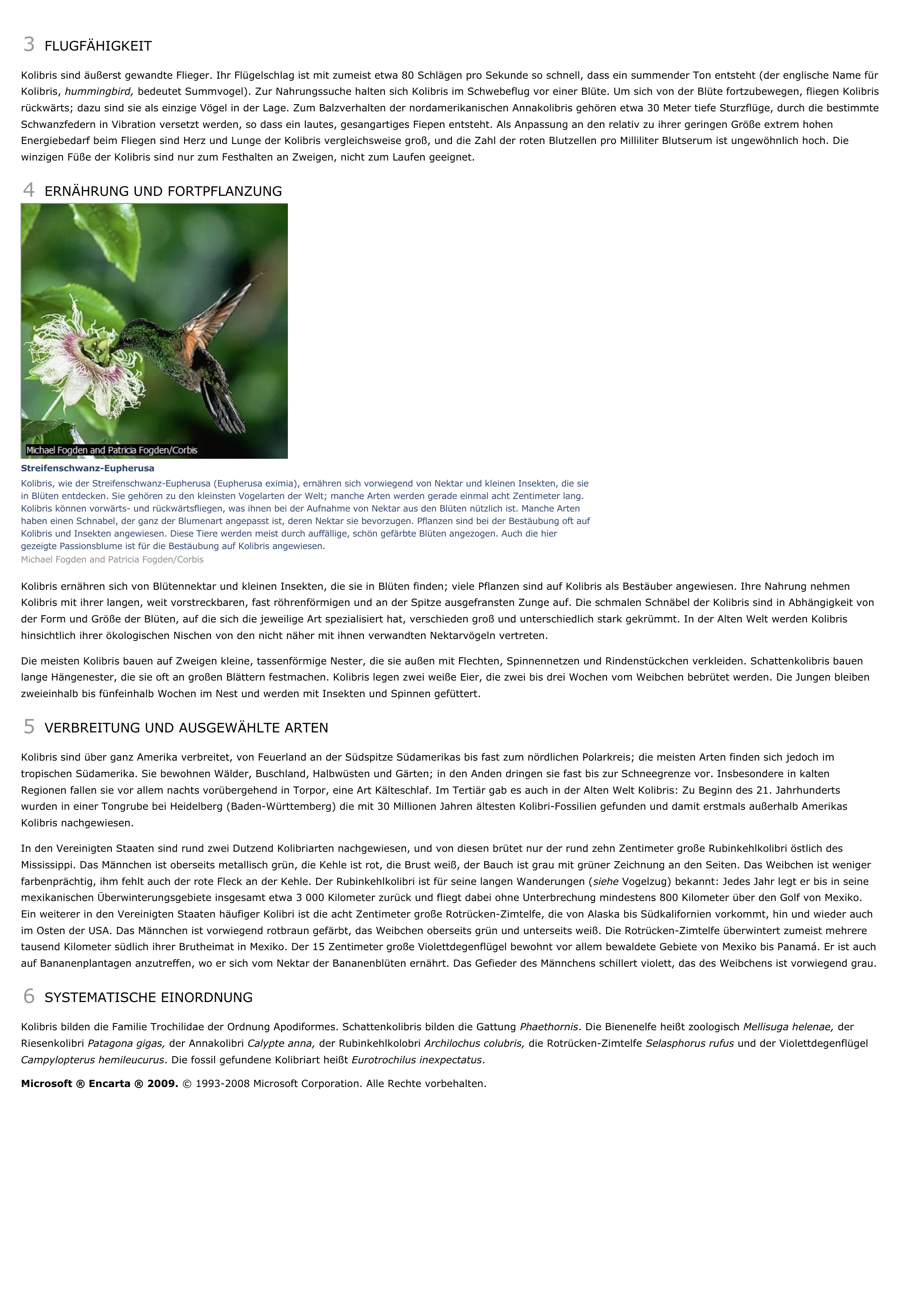 Prévisualisation du document Kolibris - biologie.