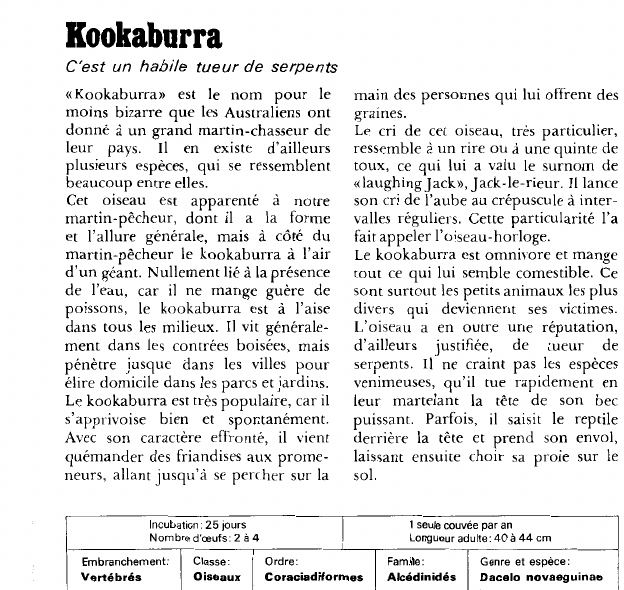 Prévisualisation du document Kookaburra:C'est un habile tueur de serpents.