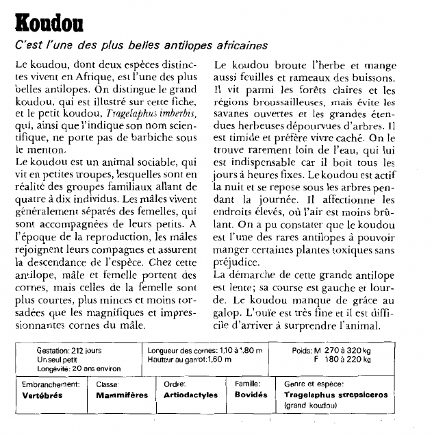 Prévisualisation du document Koudou:C'est l'une des plus belles antilopes africaines.