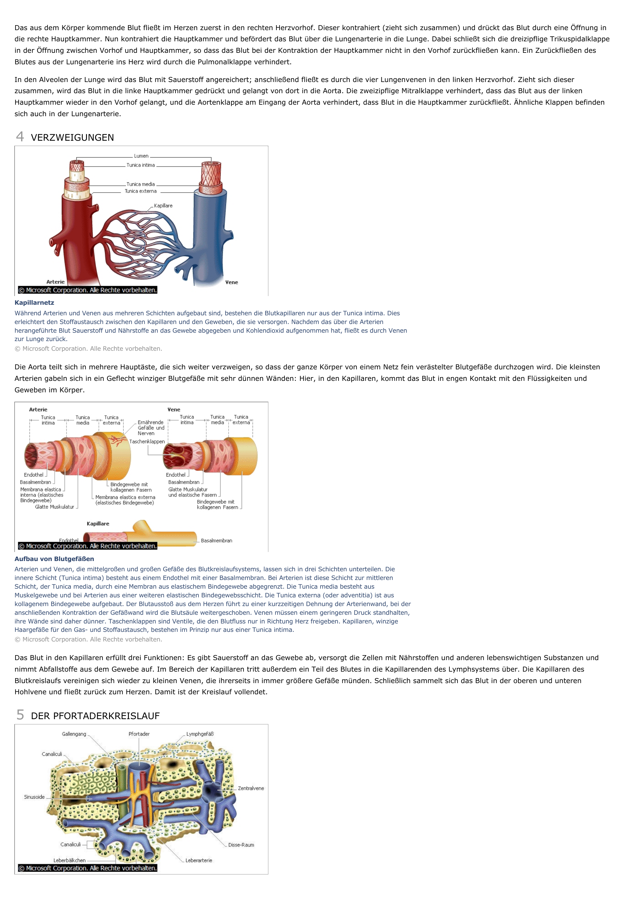 Prévisualisation du document Kreislaufsystem - biologie.