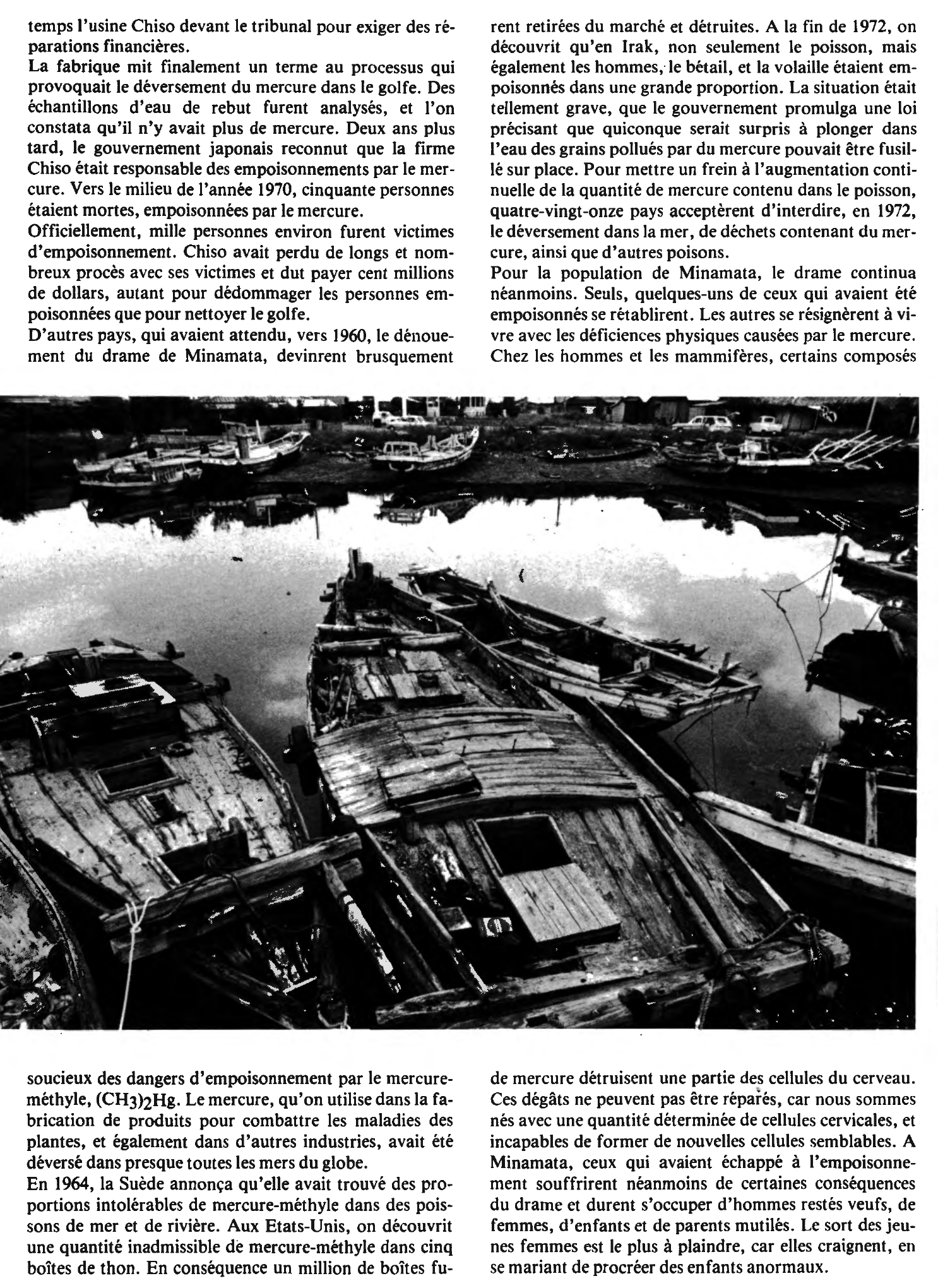 Prévisualisation du document La catastrophe de Minamata - Japon, 1950 (analyse)