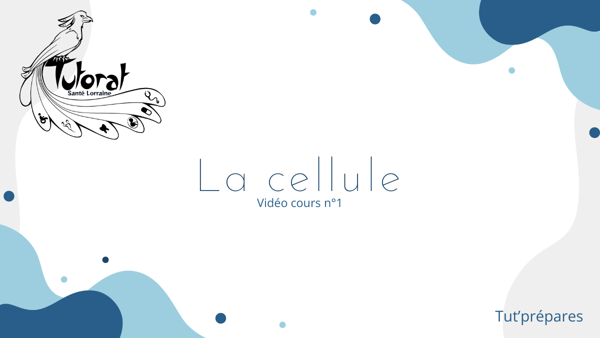 Prévisualisation du document La cellule Vidéo cours n°1