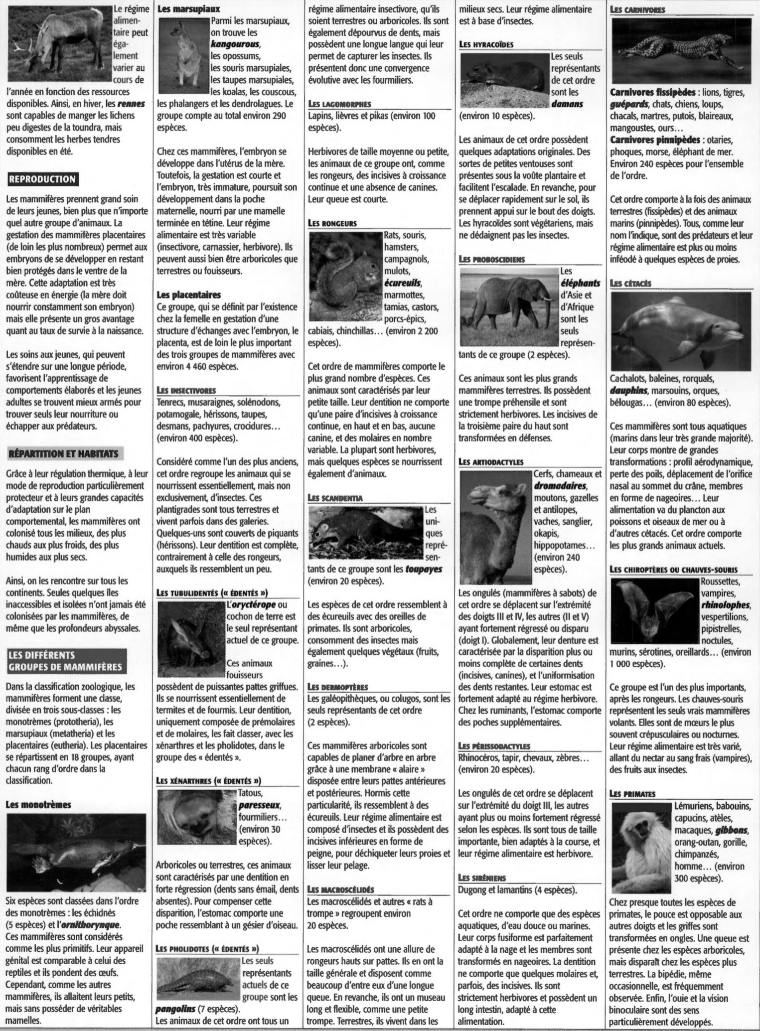Prévisualisation du document La classe des mammifères