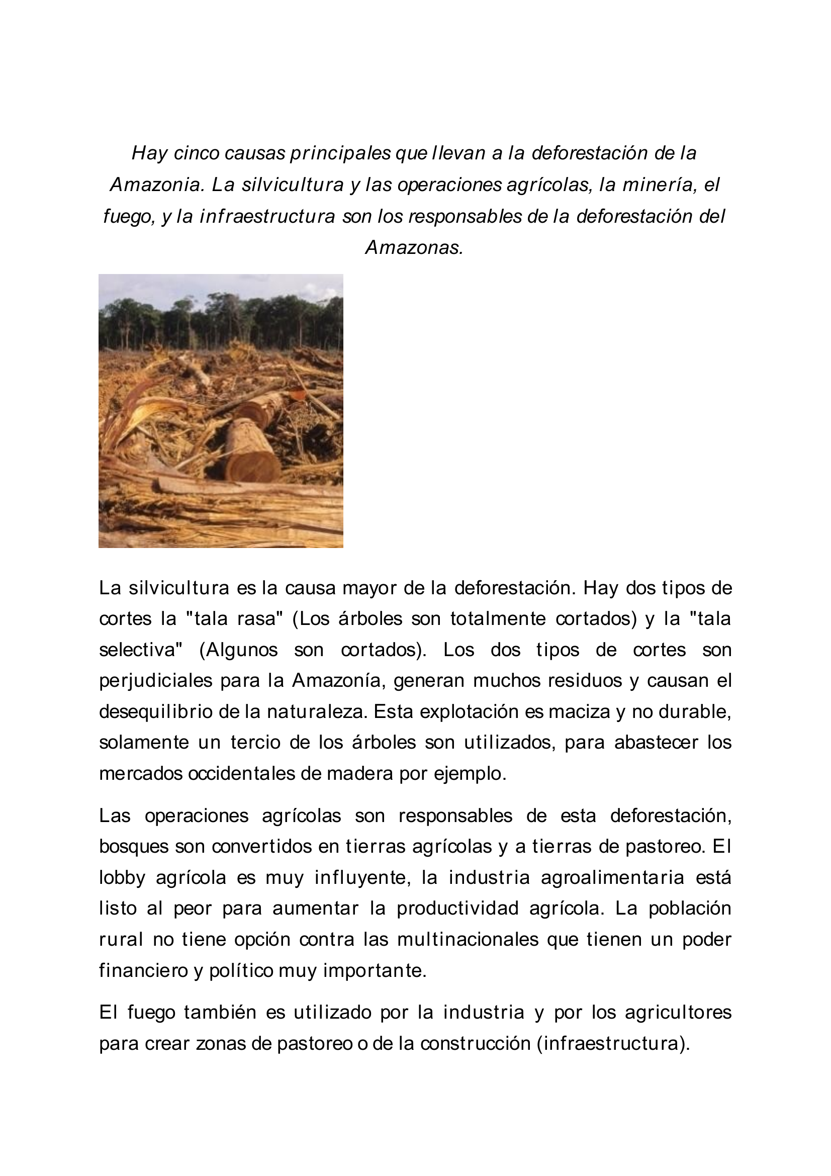 Prévisualisation du document La déforestation en amazonie - Espagnol