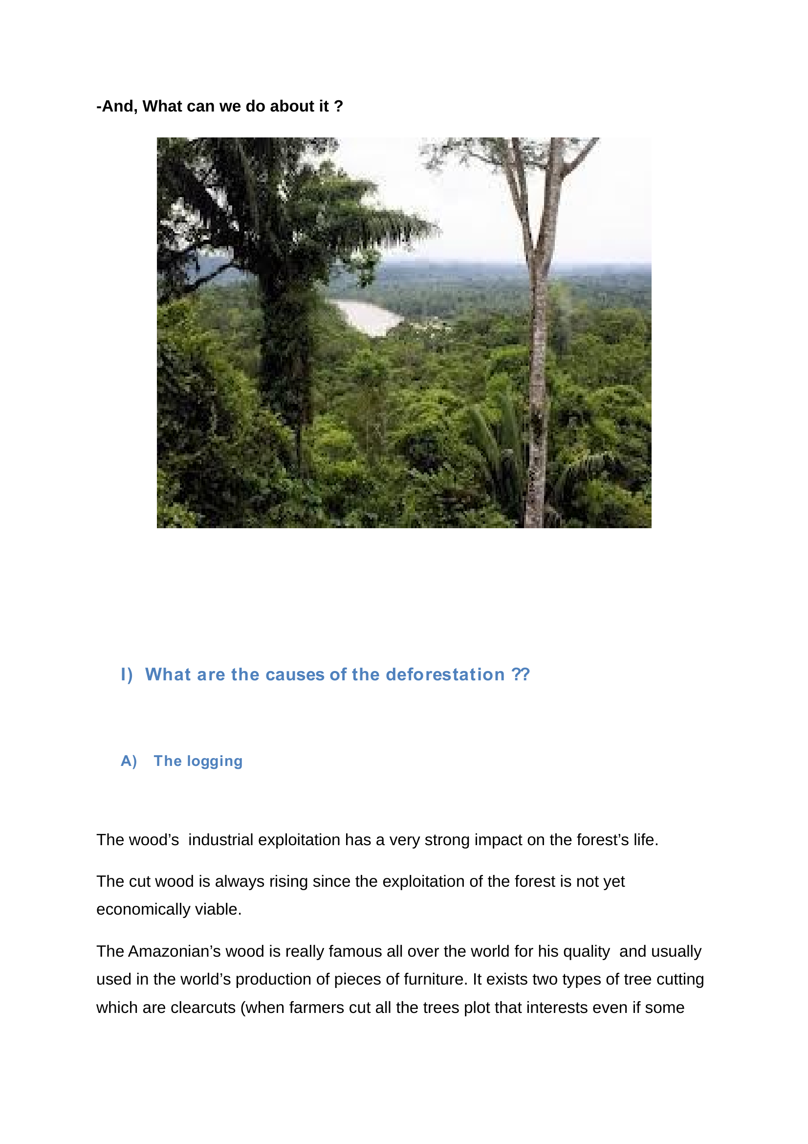 Prévisualisation du document La déforestation en Amazonie