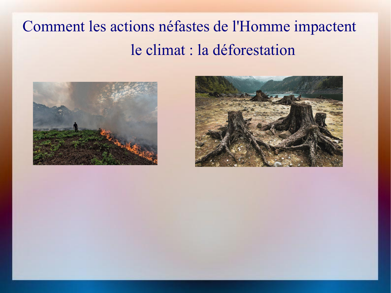 Prévisualisation du document LA DEFORESTATION ET LE CLIMAT