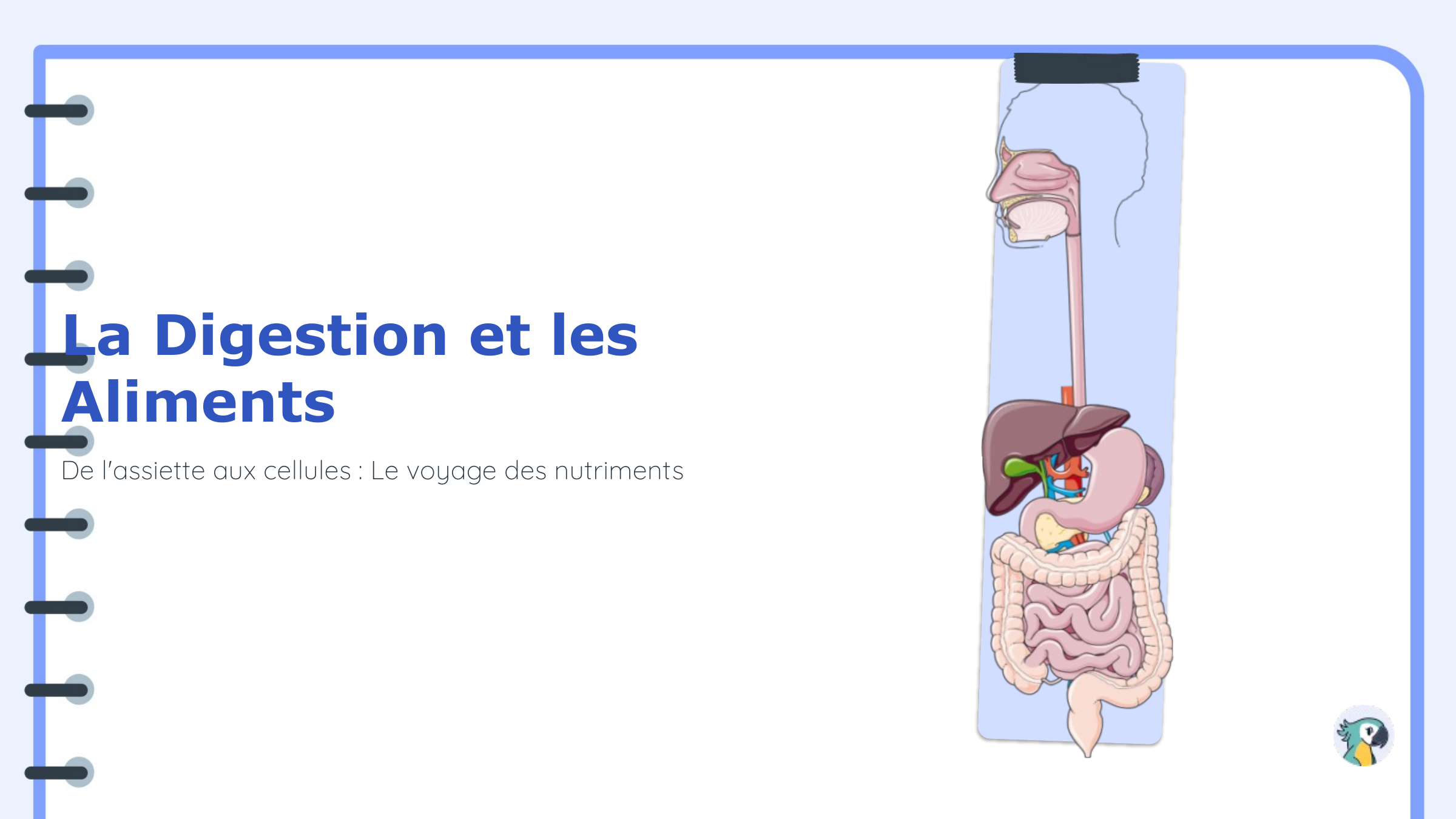 Prévisualisation du document La Digestion et les Aliments De l'assiette aux cellules : Le voyage des nutriments
