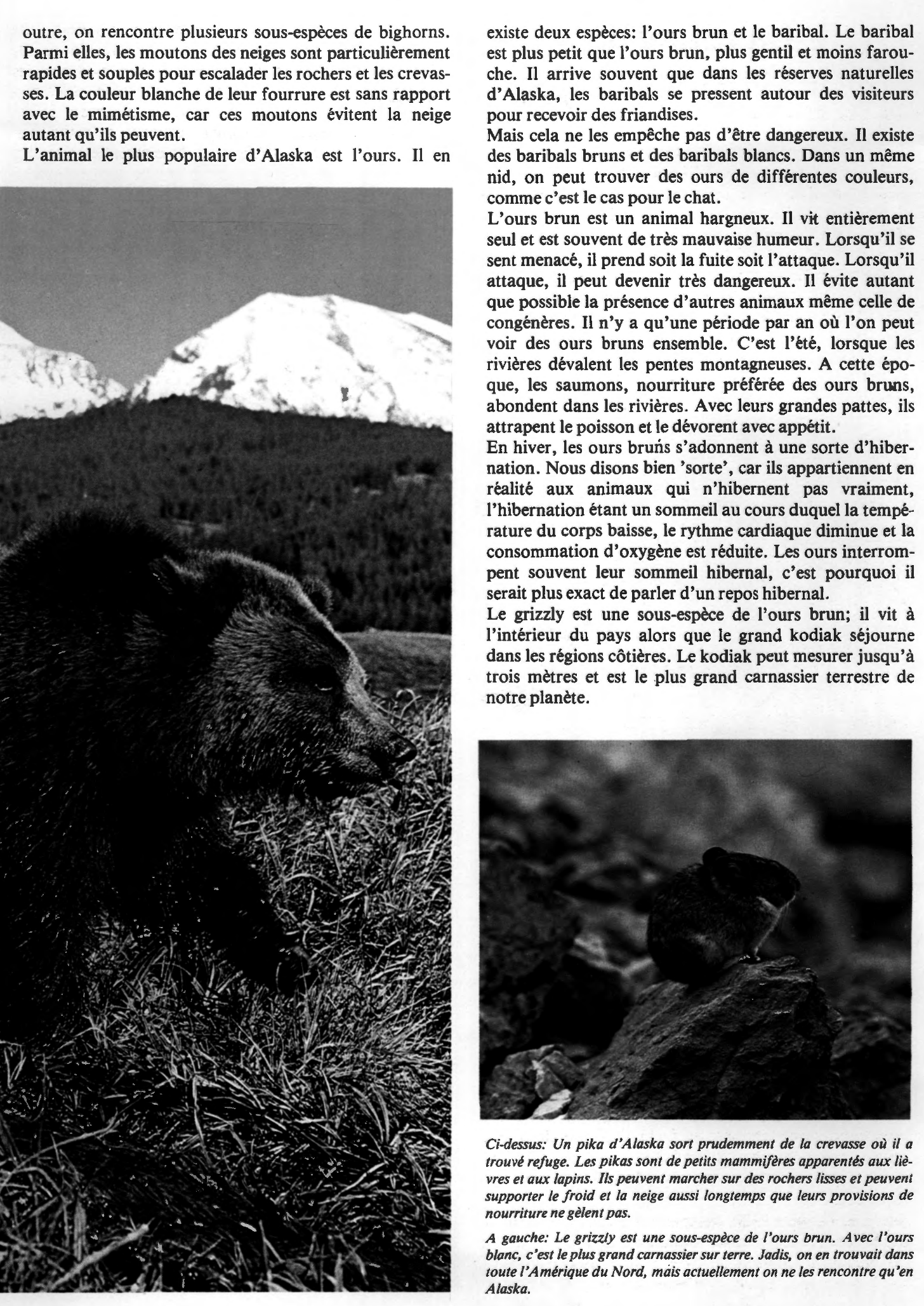 Prévisualisation du document La faune de l'Alaska